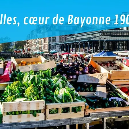 Apartman Milia Etxea - T3 Dans Le Centre Historique Bayonne